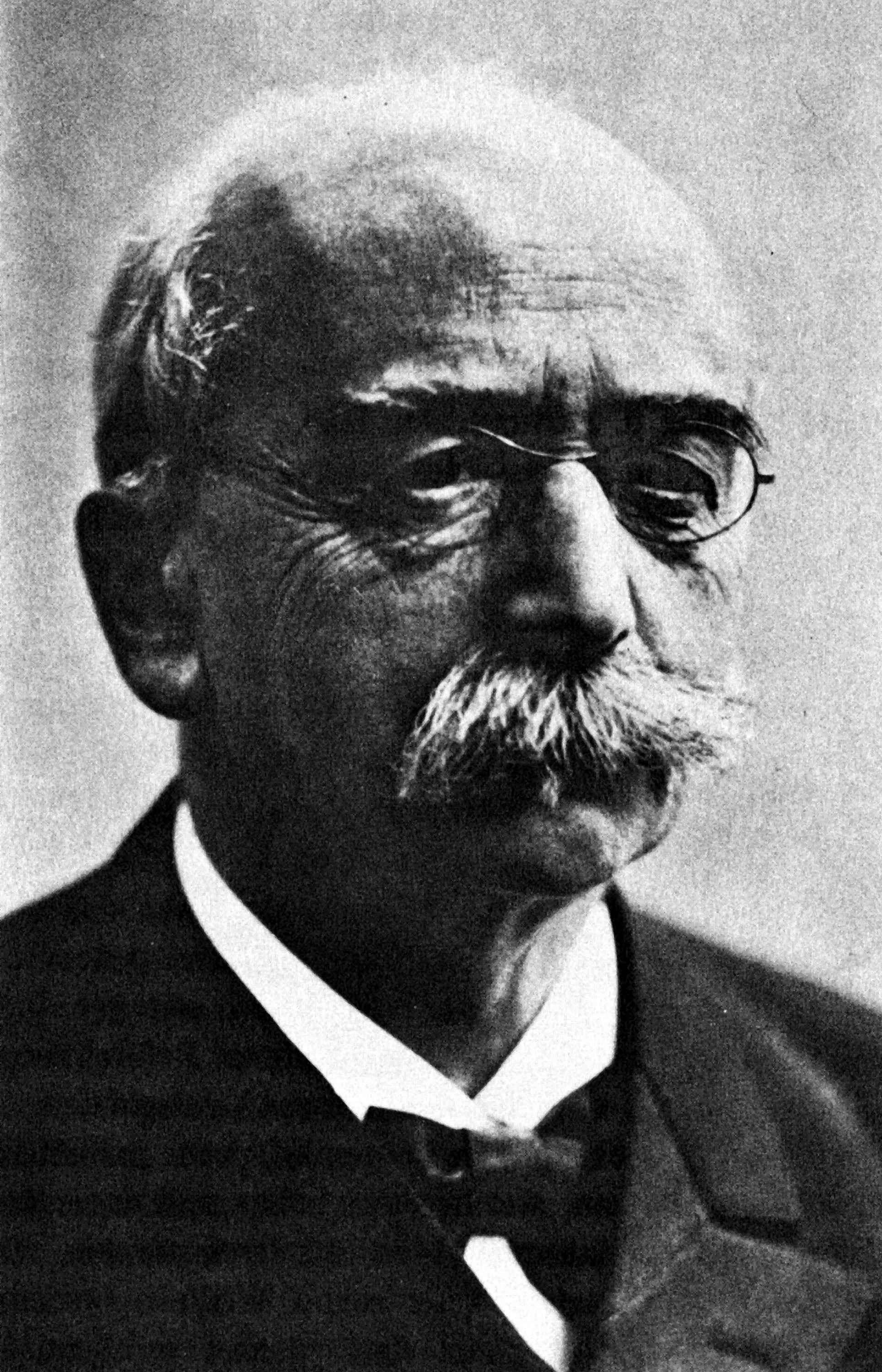 Porträt von Emil Wohlwill